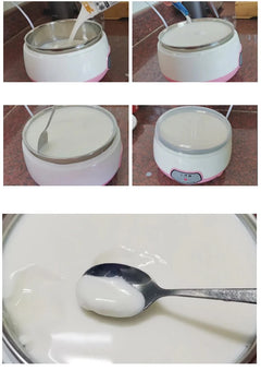 Máquina para hacer yogurt