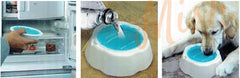 Bowl Helado para Agua de Mascotas - Tienda Mish!