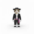 Cojín huaso gato personalizado, regalo Dieciocho para mascota