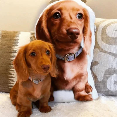 Dog Pillow Cojin Perro Triste Travieso Perrito Juguetón Después De