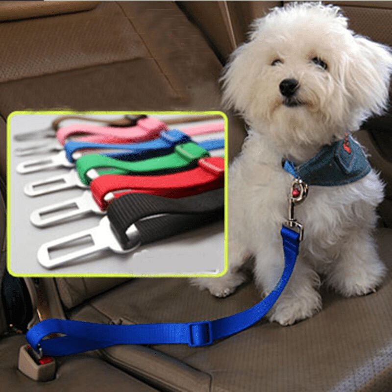 Cinturón de seguridad de auto para perros – Tienda Mish!
