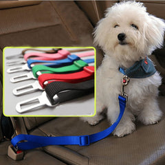 Cinturón de seguridad de auto para perros - Tienda Mish!